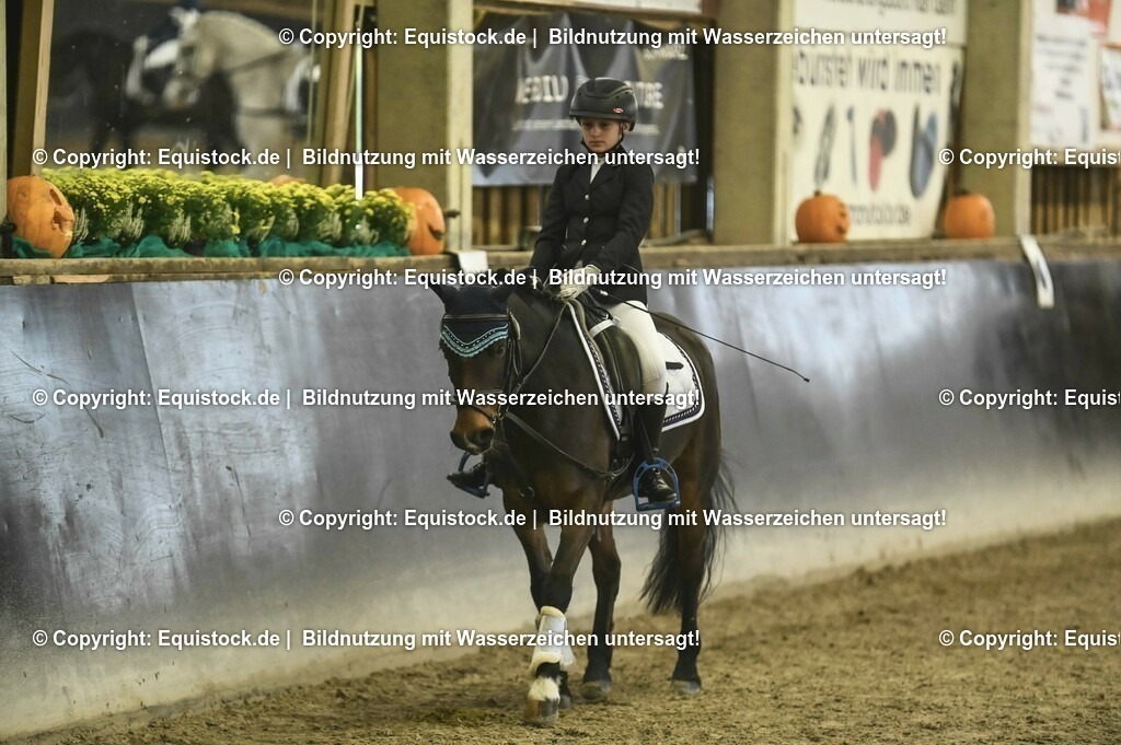 20231029_02_Reiter-WB_Schritt-Trab-Galopp_Abteilung-02_0059 | Foto: Thomas Hartig