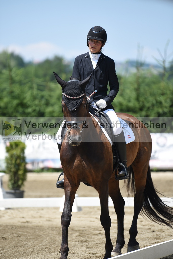 DSC_0187 | equestrian-live-com