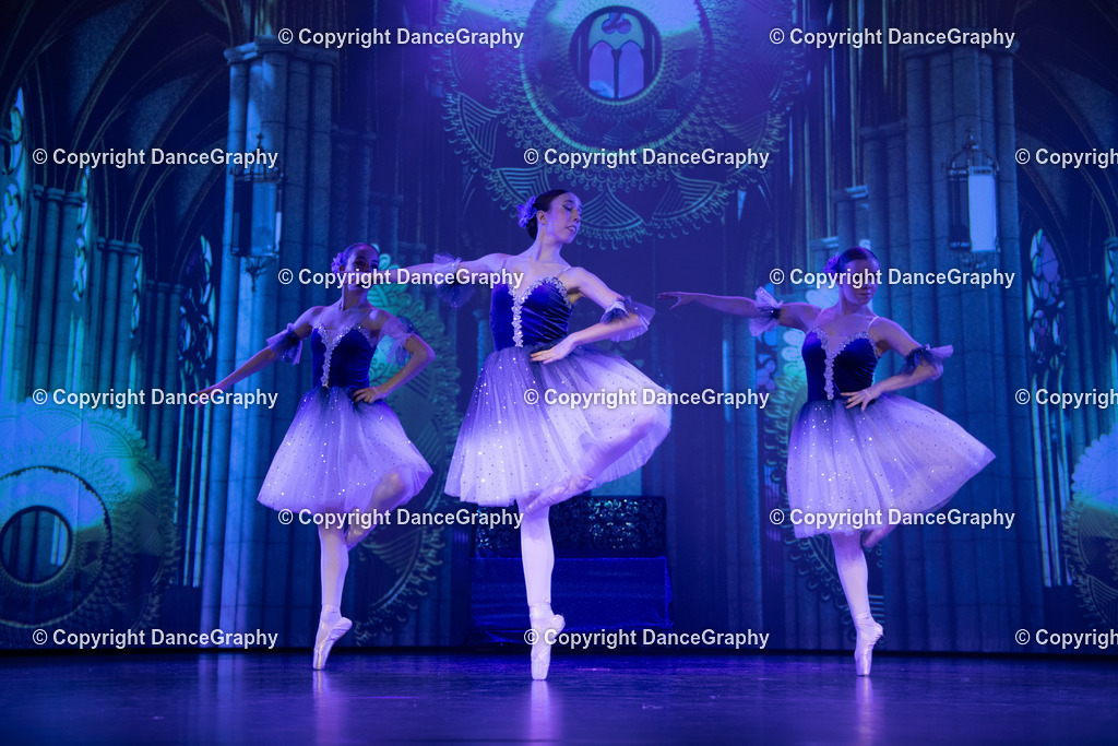 GPHY2614 | DanceGraphy - Realisiert mit Pictrs.com