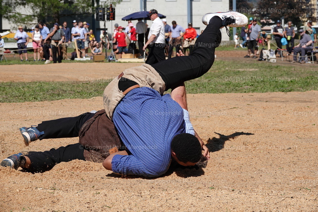 DSC01713 | Schwingen - Realisiert mit Pictrs.com