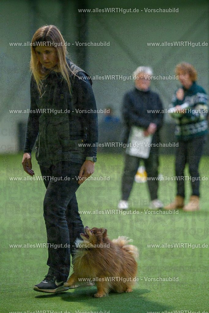 7R506830 | Professionelle Tierfotografie in Mönchengladbach von Daniel Wirth (allesWIRTHgut). Liebevolle & natürliche Bilder von Hunden & Katzen für unvergessliche Erinnerungen.