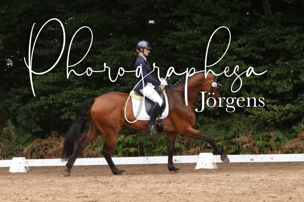 IMG_9681 | photographesa-joergens - Realisiert mit Pictrs.com