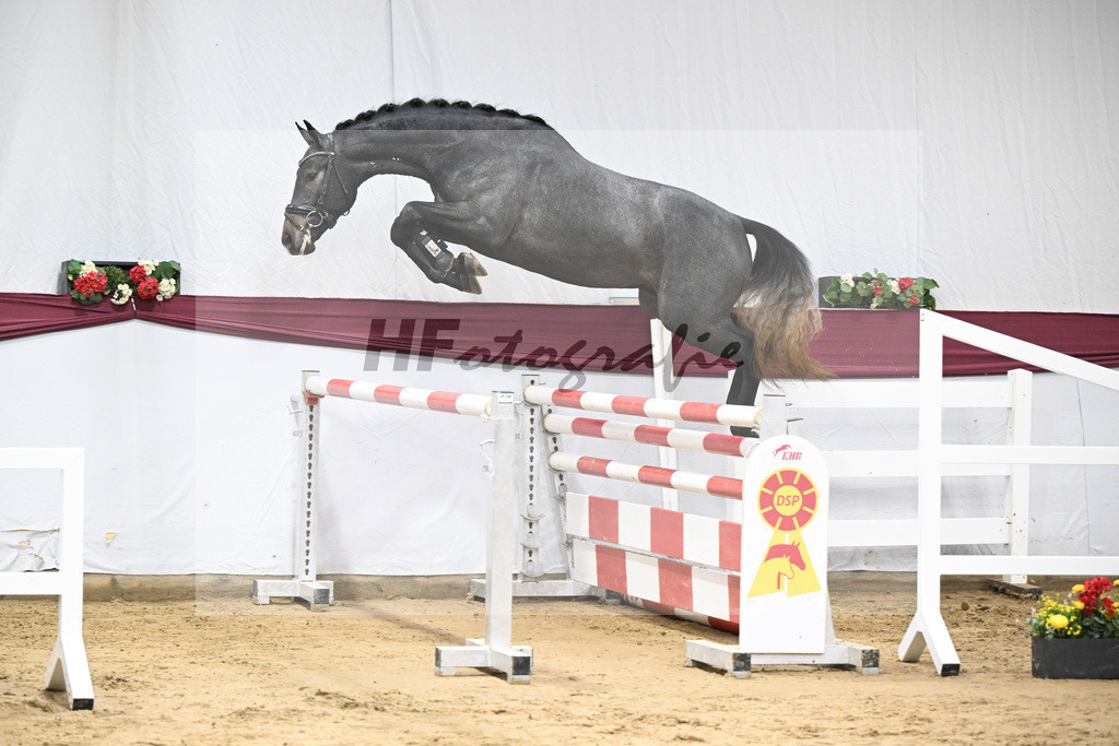 Kat-Nr. 87 Simply de Regor x Carano_PBM Pfefferle GmbH_47253048 | hf-fotografie - Realisiert mit Pictrs.com