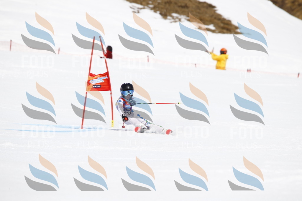 _U3G5714 | holidayphoto