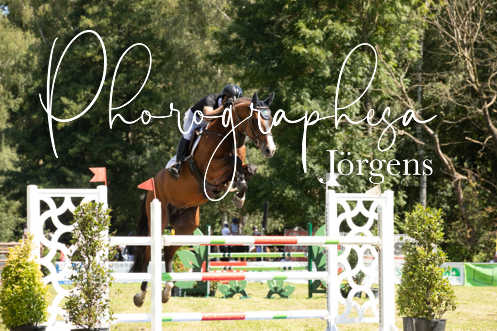 IMG_9169 | photographesa-joergens - Realisiert mit Pictrs.com