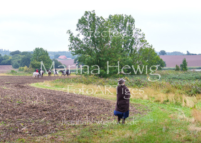Jagd Kletkamp 26-02987_MarinaHewig | Fotografie, FotoArt, PferdesportArt, Pferdesportfotografie, Landschaftsfotografie, Reisefotografie, Reise, Pferde - Realisiert mit Pictrs.com