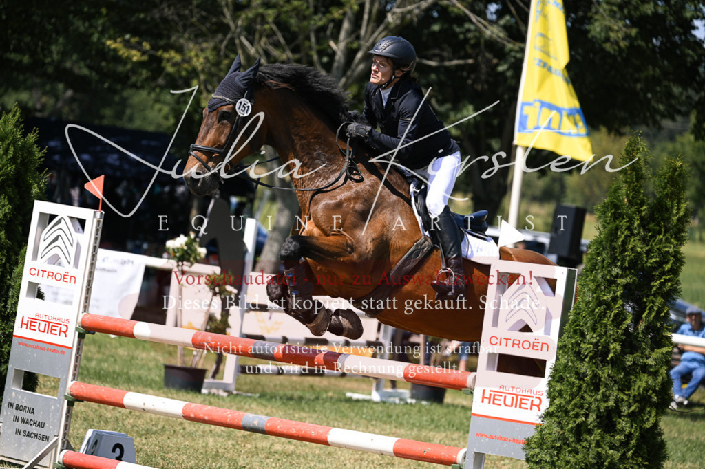 DSC_0177 | Pferde- und Turnierfotografie in Westsachsen. Pferdeportraits, Auftragszeichnungen und intuitive Kunst.
