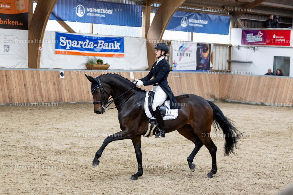 TH_210 Greta Busacker (GER)_ Frieda NRW_32311 | 210 Greta Busacker&nbsp;(GER), Frieda NRW beim Reitturnier Guxhagen-Dörnhagen 2025 am 10.10.25 in Dörnhagen, Reit- u. Fahrverein