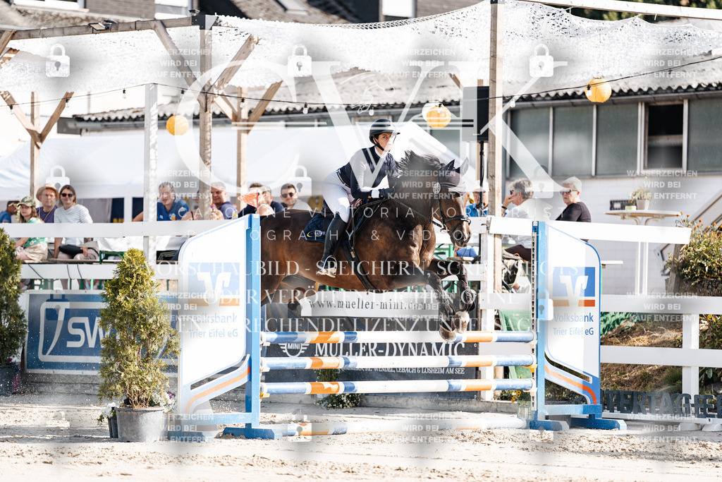 CK909210 | Turnierfotografie Pferdefotografie Trier Rheinland-Pfalz Pferdesport Reitsport Tierfotografie Sportfotografie Pferdevideo Pferdevideografie Equestrianvideography equestrianphotography  - Realisiert mit Pictrs.com