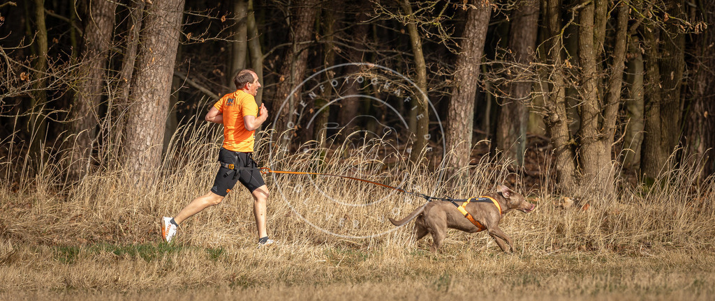 DV3A3945 | Hundefotografie, Tierfotograf, Pfotenfotografie, Fotoshooting Hund, Hunde Portrait, Hundesport, Hundeportraits, Heideshooting, Hunde, Sportfotograf, Hundefotograf, Turnierhundsport, THS,  - Realisiert mit Pictrs.com