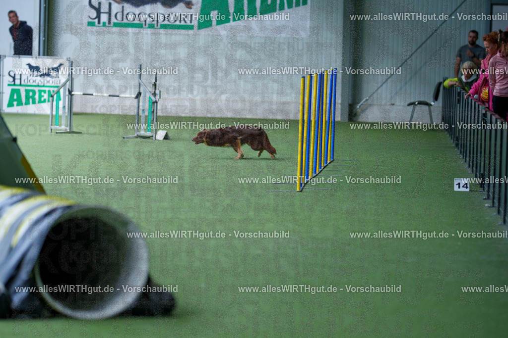@allesWIRTHgut_Tierfotografie - www.allesWIRTHgut.de - 2604251221-7R501484 | Professionelle Tierfotografie in Mönchengladbach von Daniel Wirth (allesWIRTHgut). Liebevolle & natürliche Bilder von Hunden & Katzen für unvergessliche Erinnerungen.