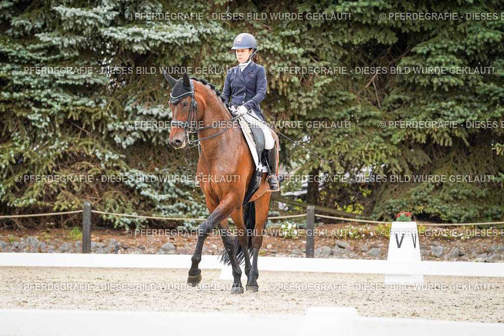 DSC05401 | Pferdegrafie