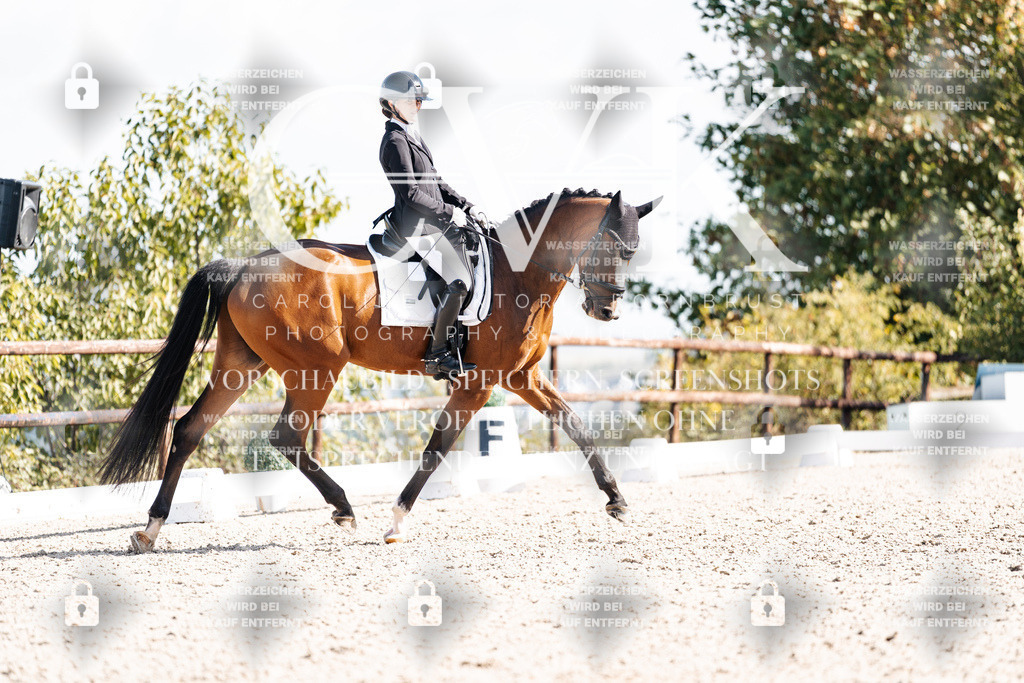 CK902273 | Turnierfotografie Pferdefotografie Trier Rheinland-Pfalz Pferdesport Reitsport Tierfotografie Sportfotografie Pferdevideo Pferdevideografie Equestrianvideography equestrianphotography  - Realisiert mit Pictrs.com
