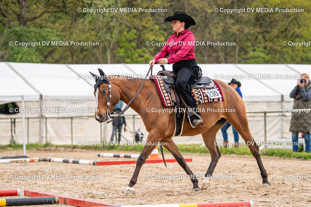 Heiligenwald Tag 1-419 | dv-media-shop - Realisiert mit Pictrs.com