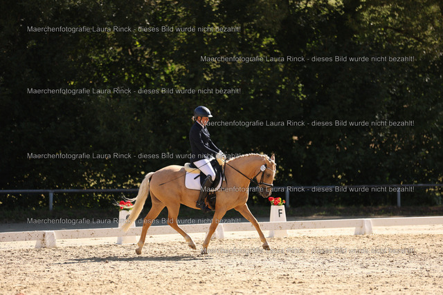 HG9A0222 | laurarinckfotografie - Realisiert mit Pictrs.com