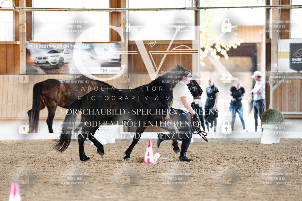 CK905688 | Turnierfotografie Pferdefotografie Trier Rheinland-Pfalz Pferdesport Reitsport Tierfotografie Sportfotografie Pferdevideo Pferdevideografie Equestrianvideography equestrianphotography  - Realisiert mit Pictrs.com
