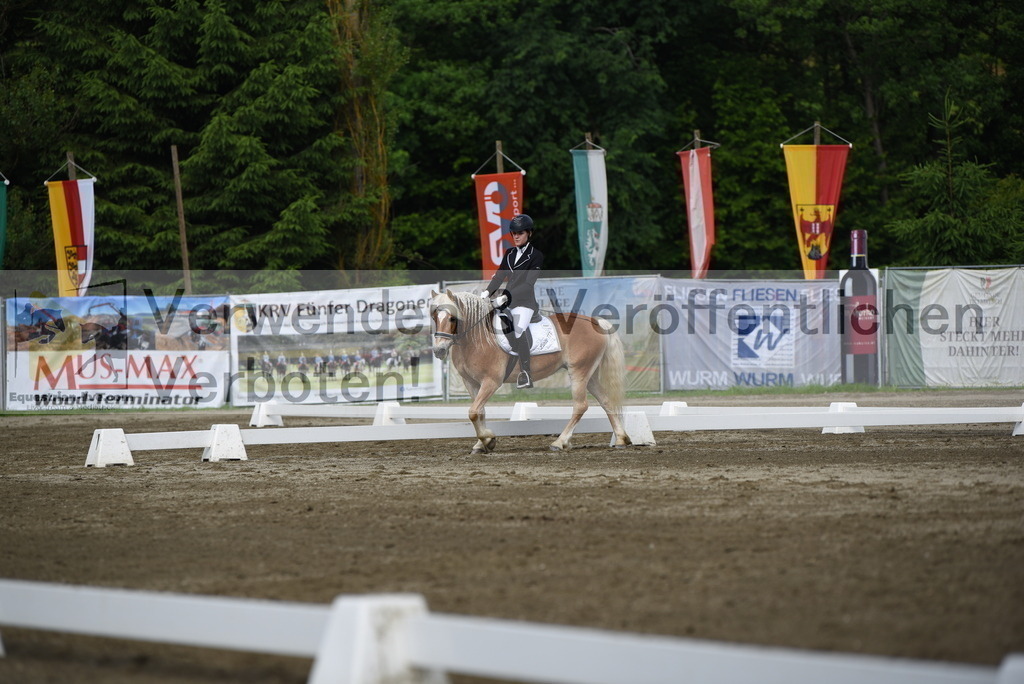DSC_7751 | equestrian-live-com