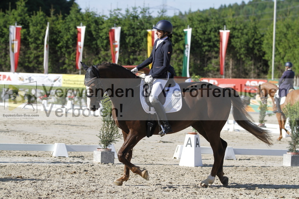 _MG_3242 | equestrian-live-com