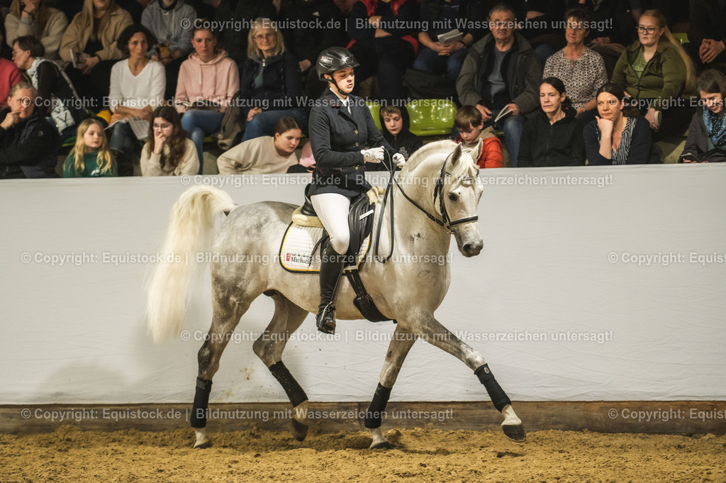 20240302_Hengstvorstellung_Marbach_TOMsPiC_1049 | equistock