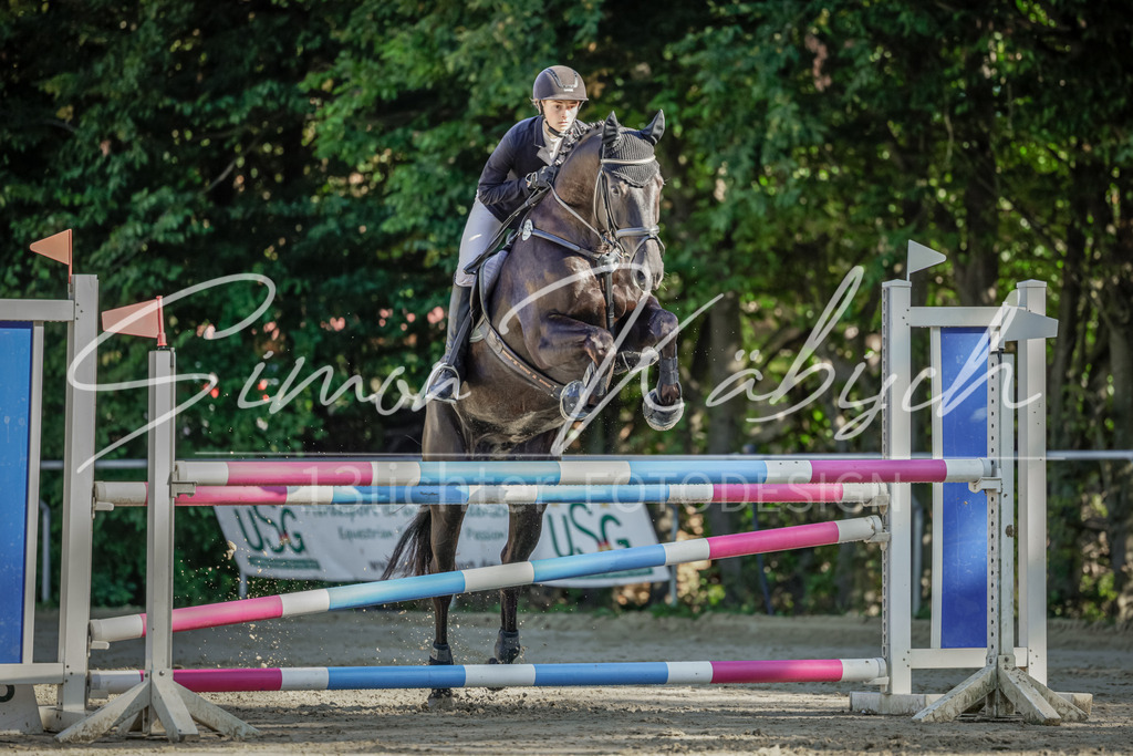 20250906-_3LI3227 | Tierfotografie Pferde, Hunde, Katzen, Haustiere.
Turnierfotografie Reitturniere, Reiten, Springreiten, Dressur in Hanau, dem Main-Kinzig-Kreis und dem Rhein-Main- Gebiet um Frankfurt