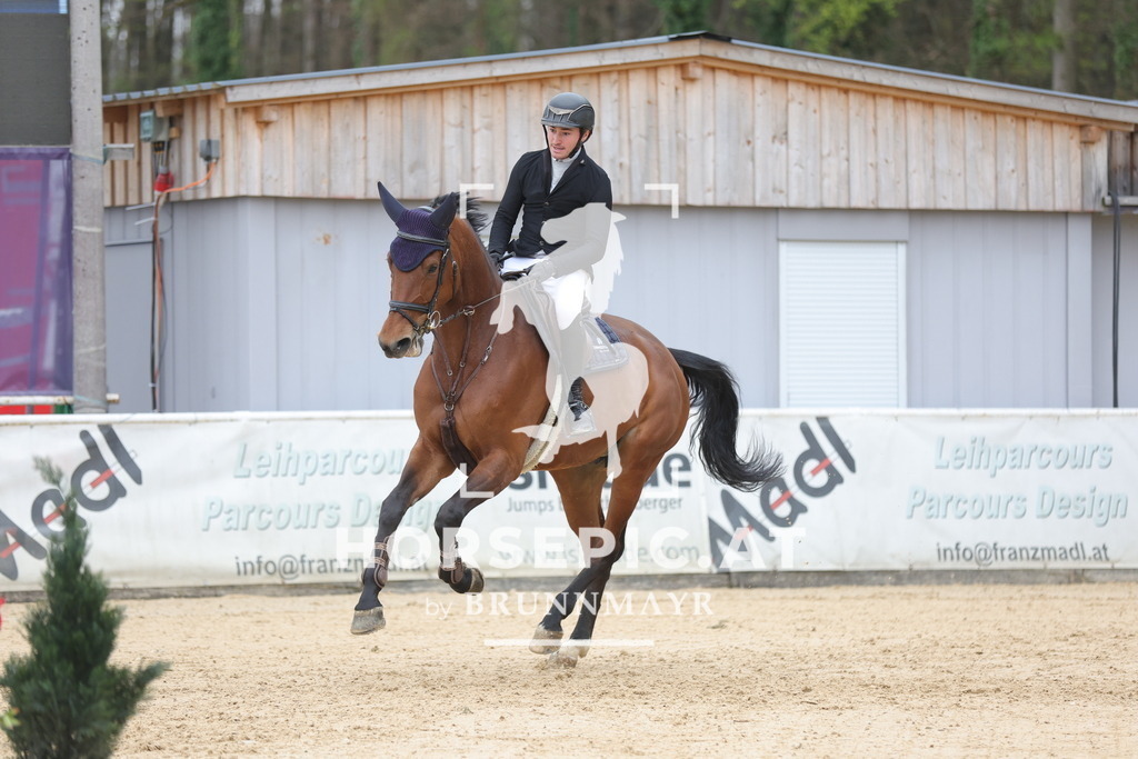 0P6A4055 | Willkommen bei Brunnmayr - Design & Fotografie – Ihrem Spezialisten für Reitturniere und Pferdeveranstaltungen in Oberösterreich, Salzburg und Bayern! Seit über 17 Jahren sind wir leidenschaftlich dabei.