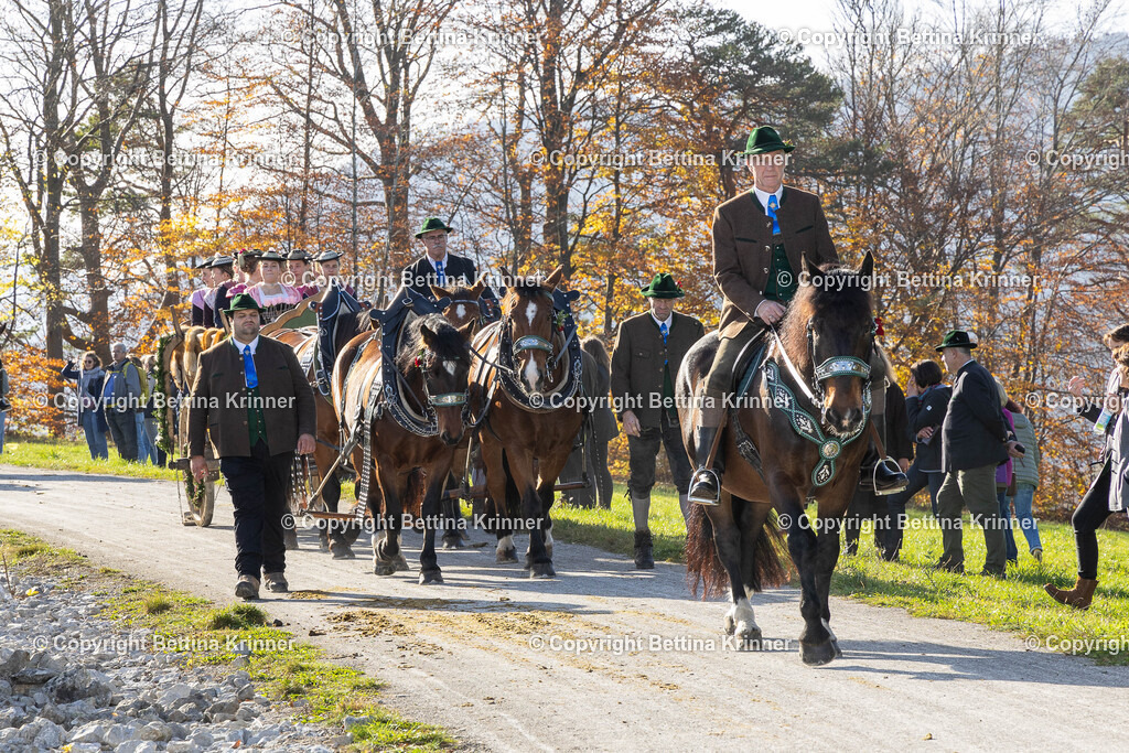 LBT24-1477 | foto-bettina-krinner - Realisiert mit Pictrs.com
