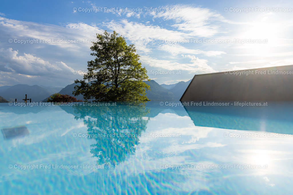 Montestyria_07092022-4530 | Fotos und Fotoprodukte - Realisiert mit Pictrs.com