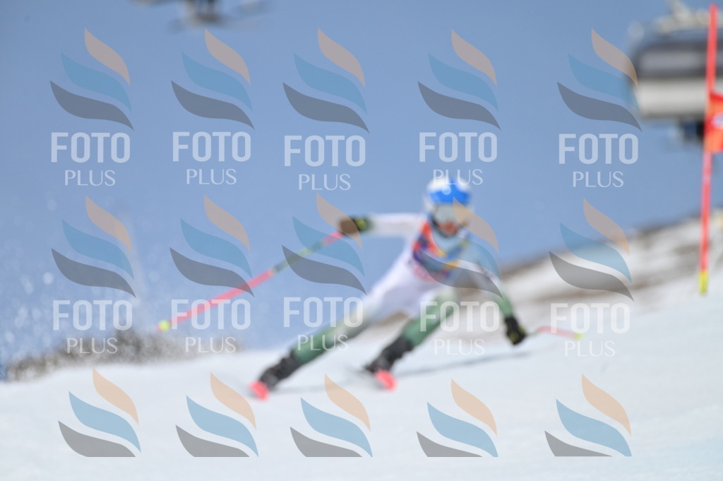 BGV_2675 | holidayphoto