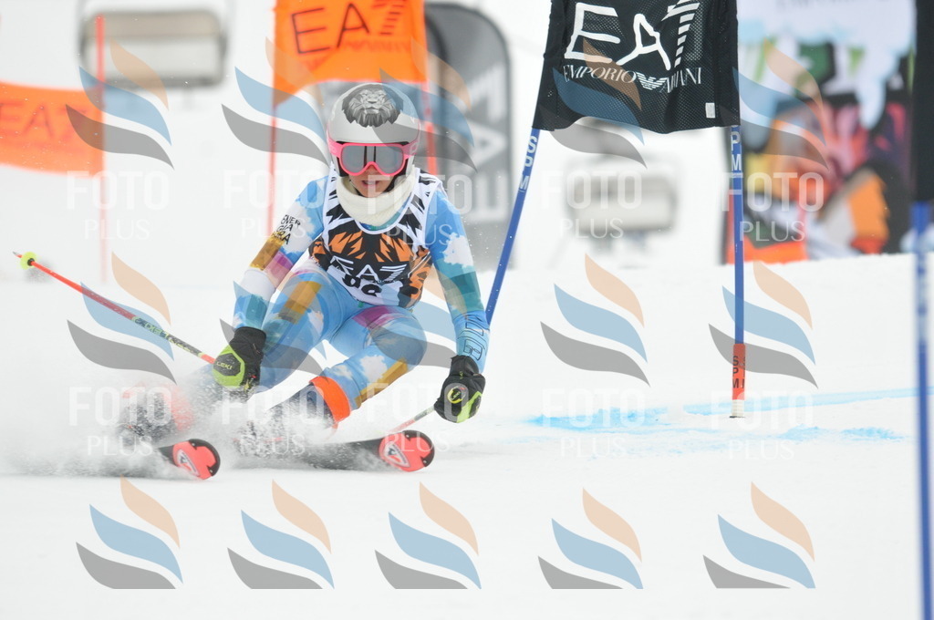 DSC_8038 | holidayphoto