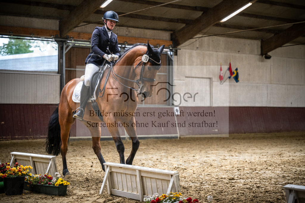 DOS_0939 | Reitturnier Lüdinghausen - Realisiert mit Pictrs.com