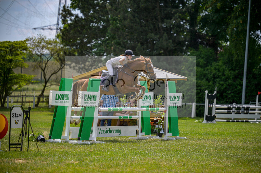 Reitturnier Voxtrup | Entdecke hochwertige Reitturnierfotos von Foto Oger. Professionell, emotional und authentisch – jetzt Lieblingsmomente im Shop bestellen.Deutschlandweite Turnierfotografie. - Realisiert mit Pictrs.com
