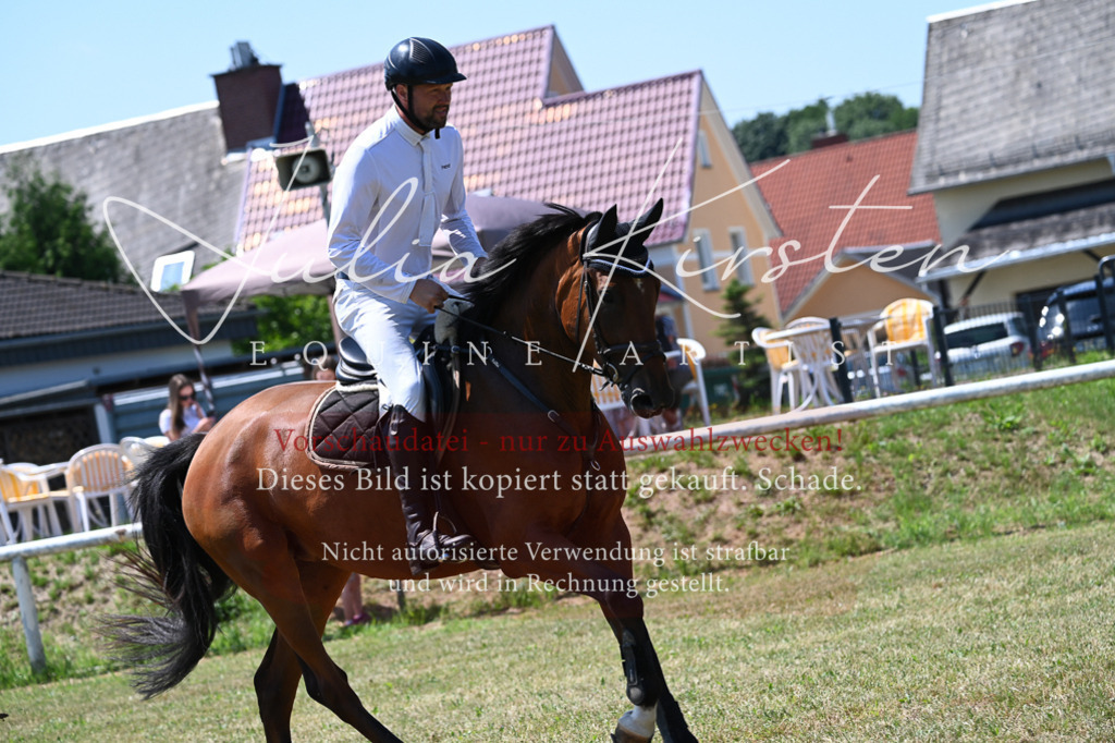 DSC_0597 | Pferde- und Turnierfotografie in Westsachsen. Pferdeportraits, Auftragszeichnungen und intuitive Kunst.