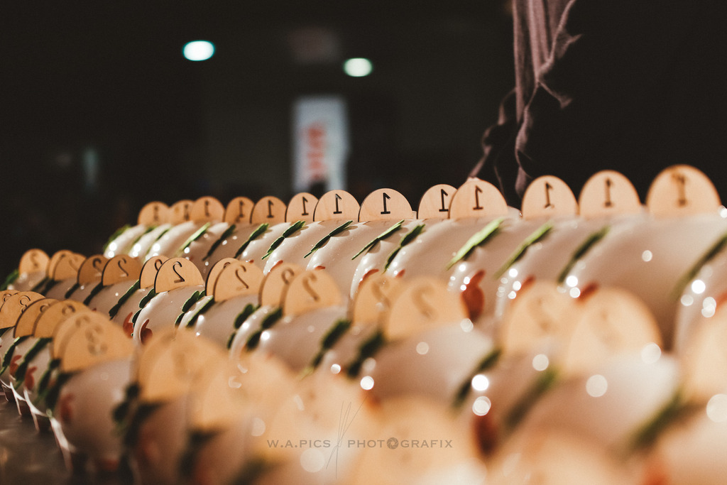 AW_20231231awmac9254 | WELS, 31.12.2023, Sparkasse Silvesterlauf Wels 2023 , Image shows: Photo: WAPICS / Andreas Willdoner