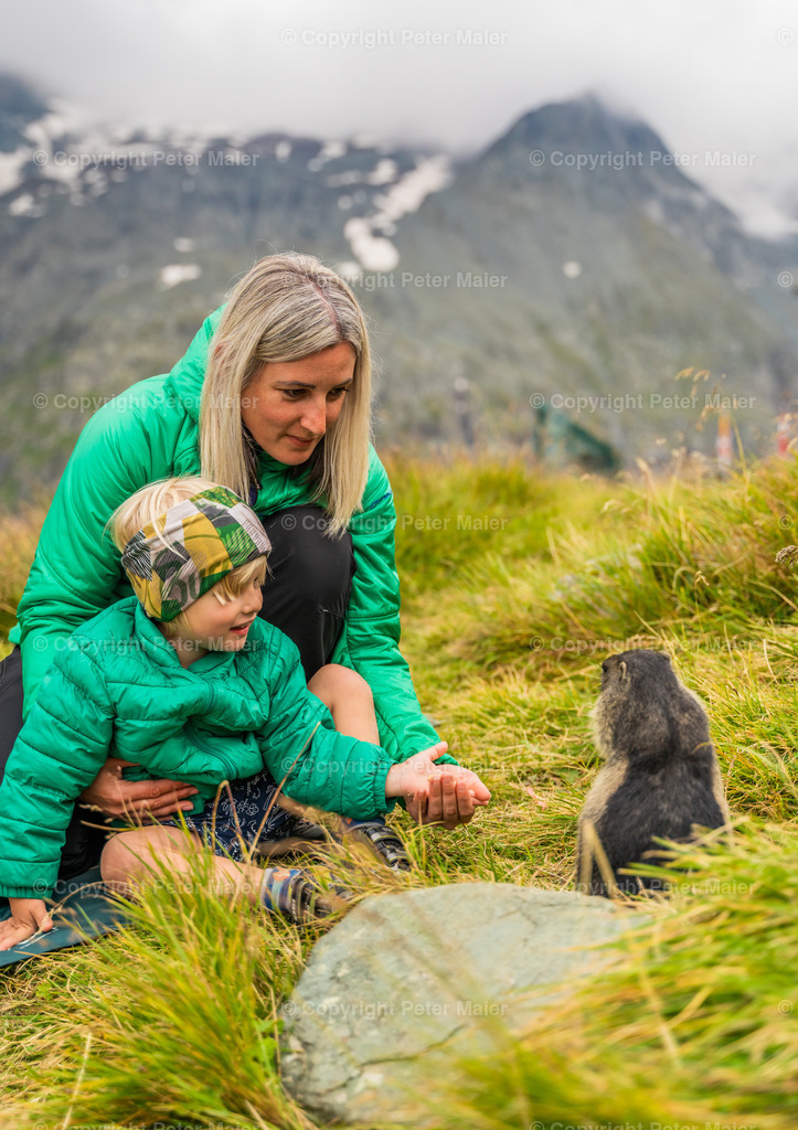 Murmel Galle 2021-5 | piet_flosse