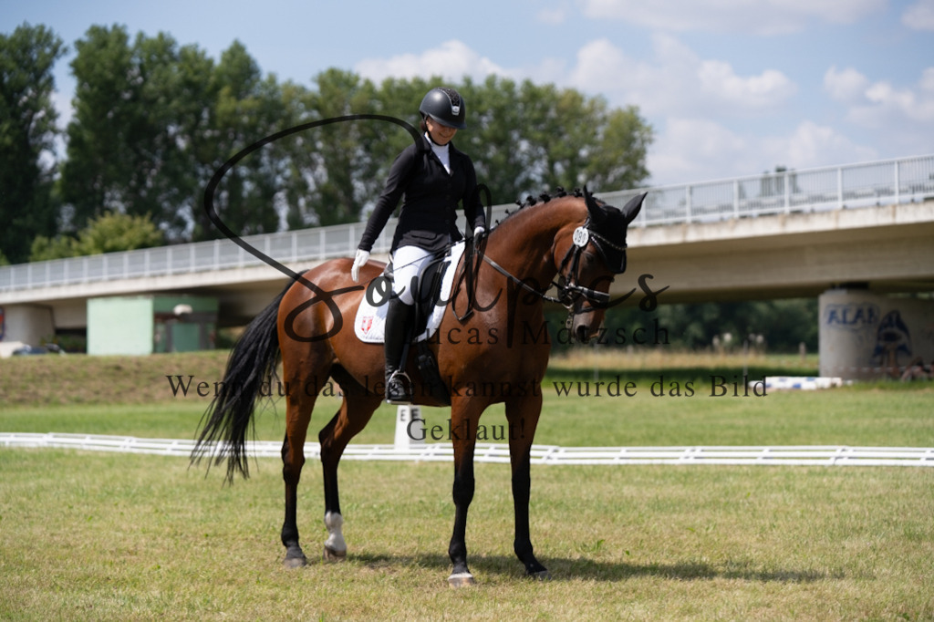 A7V09936 | Pferdefotograf