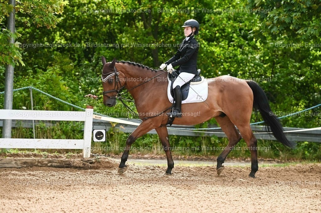 20230716_10-1_Reiter-WB Schritt - Trab - Galopp_0086 | equistock