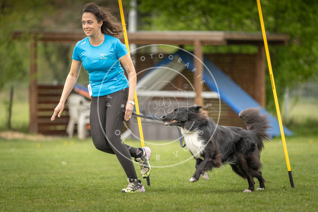 Pfotenfotografie_DV3A1675 | Hundefotografie, Tierfotograf, Pfotenfotografie, Fotoshooting Hund, Hunde Portrait, Hundesport, Hundeportraits, Heideshooting, Hunde, Sportfotograf, Hundefotograf, Turnierhundsport, THS,  - Realisiert mit Pictrs.com