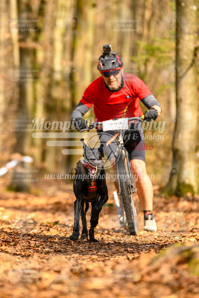 MompixPhotography_Habay2025_SA_SCO-49 | PayLife