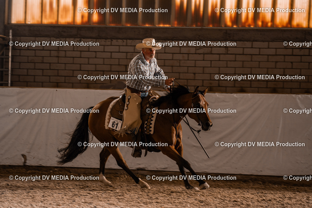 ZH300317 | dv-media-shop - Realisiert mit Pictrs.com