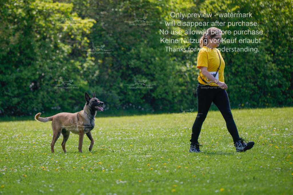 Sa_Gehorsam_02-14 | stephaniefillaphotographie - Realisiert mit Pictrs.com