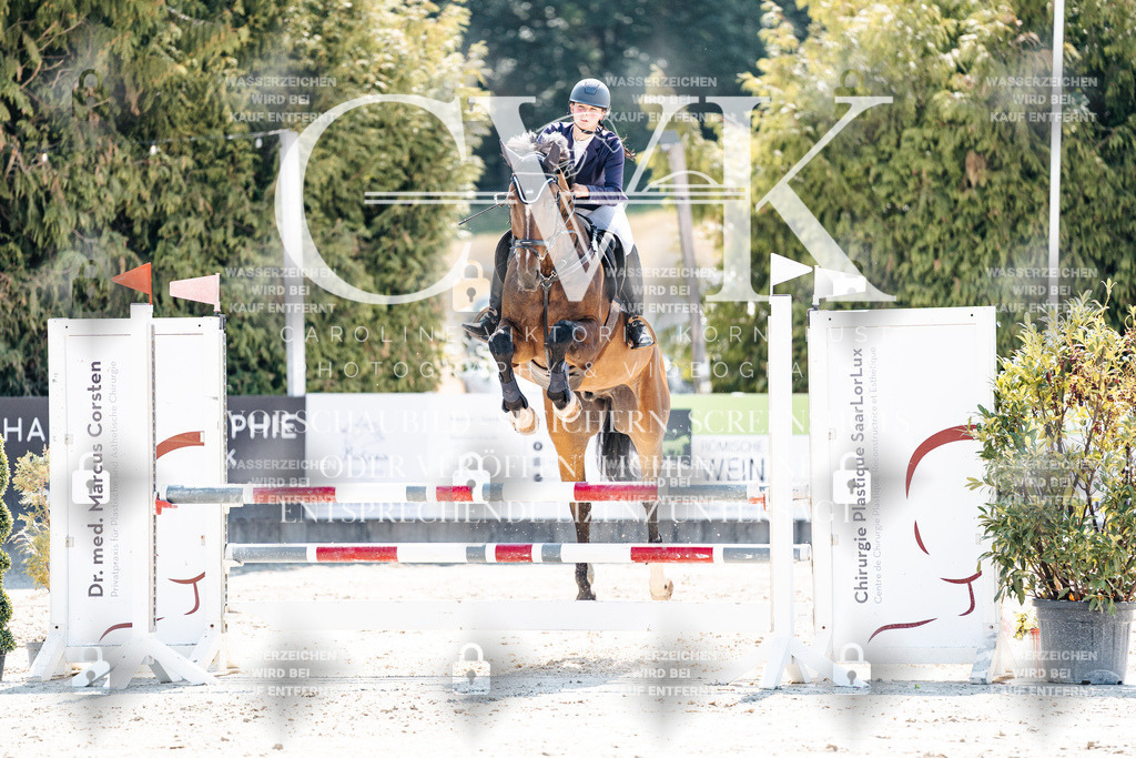 CK909234 | Turnierfotografie Pferdefotografie Trier Rheinland-Pfalz Pferdesport Reitsport Tierfotografie Sportfotografie Pferdevideo Pferdevideografie Equestrianvideography equestrianphotography  - Realisiert mit Pictrs.com