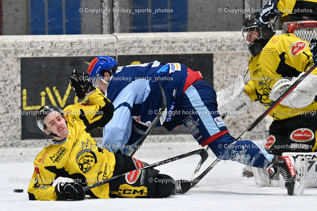 EC Hornets Spittal vs. ESC Steindorf 23.2.2024 | #22 Thaler Tim EC Hornets Spittal, #91 Kravania Kristian ESC Steindorf, #1 Zauchner Rene EC Hornets Spittal, EC Hornets Spittal vs. ESC Steindorf 23.2.2024, EC Hornets Spittal vs. ESC Steindorf 23.2.2024 am 23.02.2024 in Spittal an der Drau (Eissportzentrum Spittal), Austria, (Photo by Bernd Stefan)