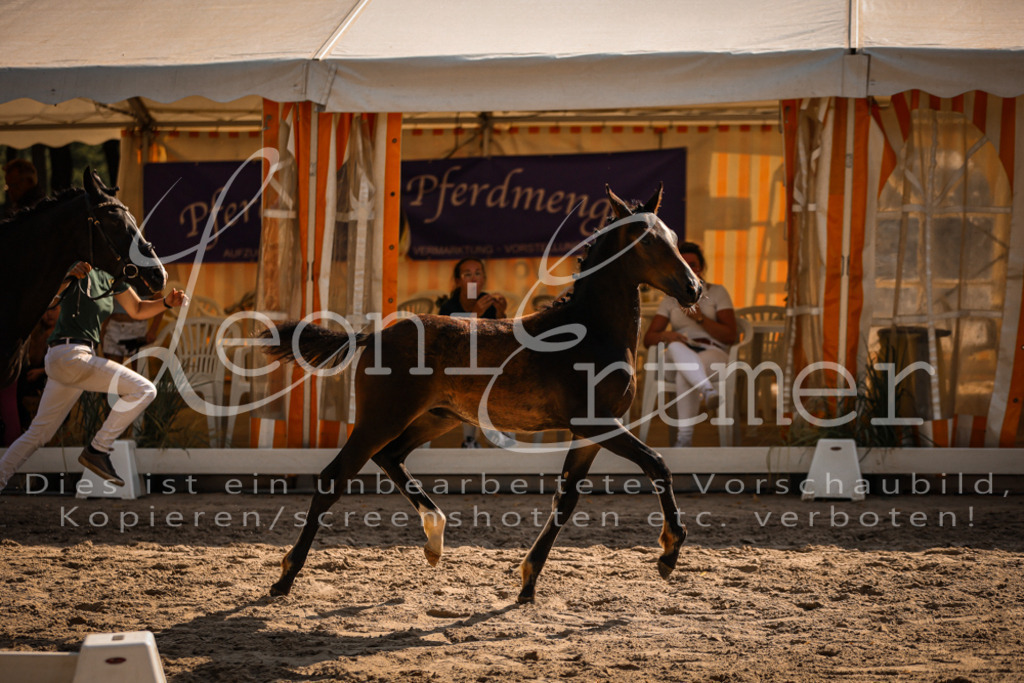 11.DoRP00080 | Leoni Ertmer Photography - Realisiert mit Pictrs.com