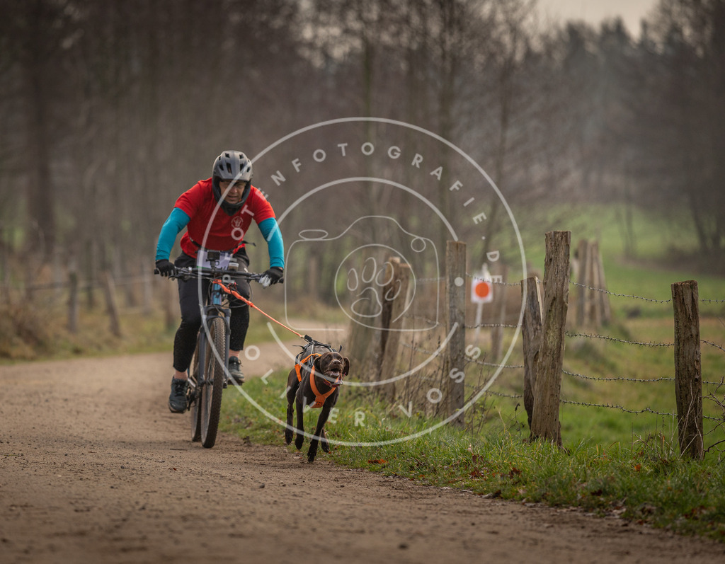 Pfotenfotografie_DV3A1862 | Hundefotografie, Tierfotograf, Pfotenfotografie, Fotoshooting Hund, Hunde Portrait, Hundesport, Hundeportraits, Heideshooting, Hunde, Sportfotograf, Hundefotograf, Turnierhundsport, THS,  - Realisiert mit Pictrs.com