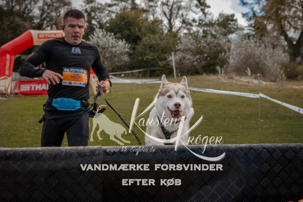 1341_ZZ91805-2 | kk-dogfotos