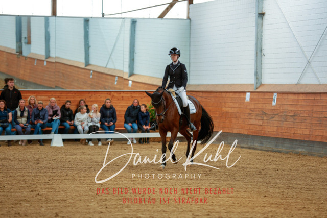 _62_5179 | Turniersportfotografie; Pferdefotografie; Dressurfotografie