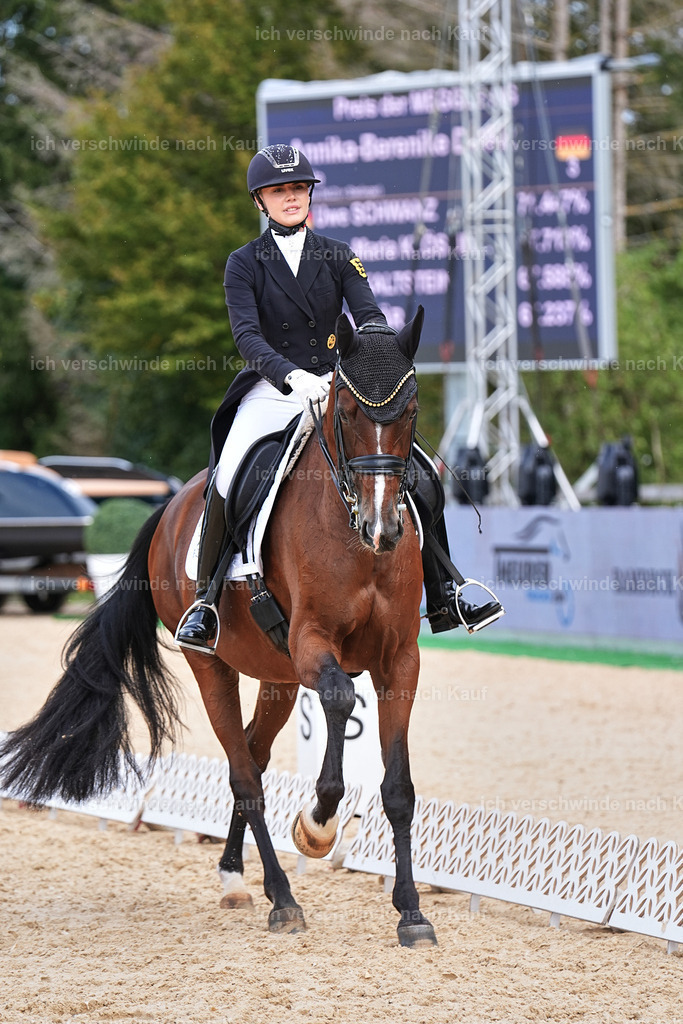 11-003-Dressur S___-Marixx-1715 | working equitationturnier fotograf videograf stoibphotography marixx film working equitation deutschland reitsport turnierfotografie eventfotografie equestrian events