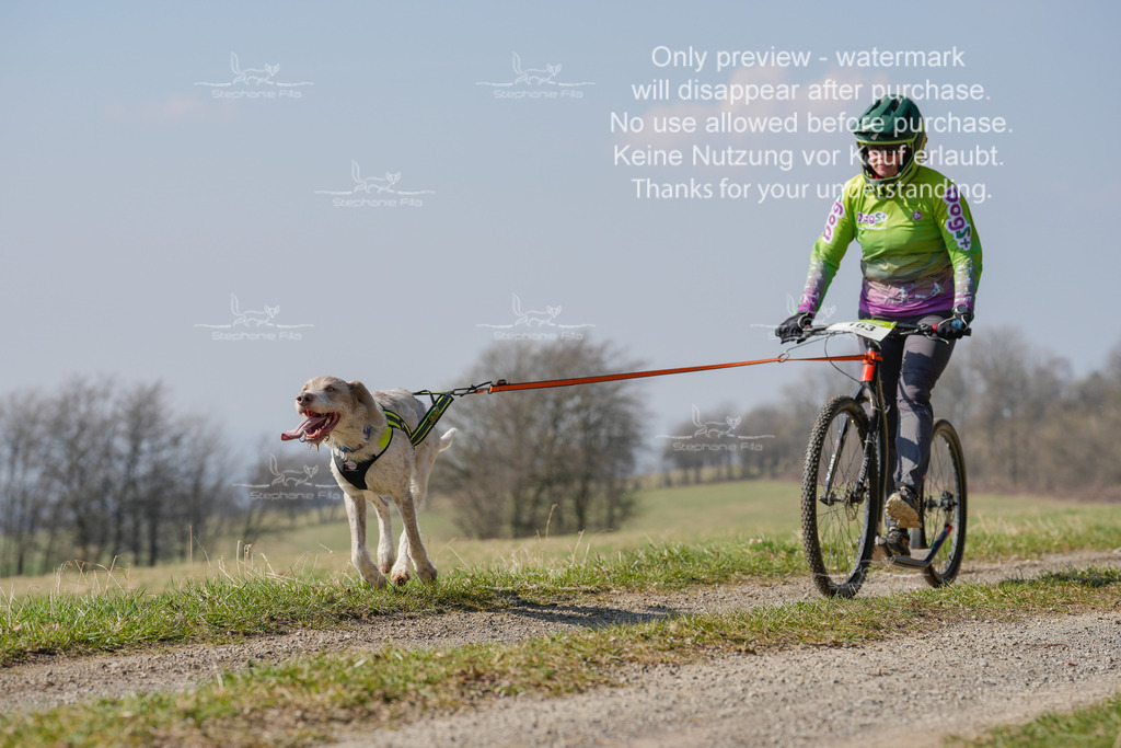 Scooter_Lang-149 | stephaniefillaphotographie - Realisiert mit Pictrs.com