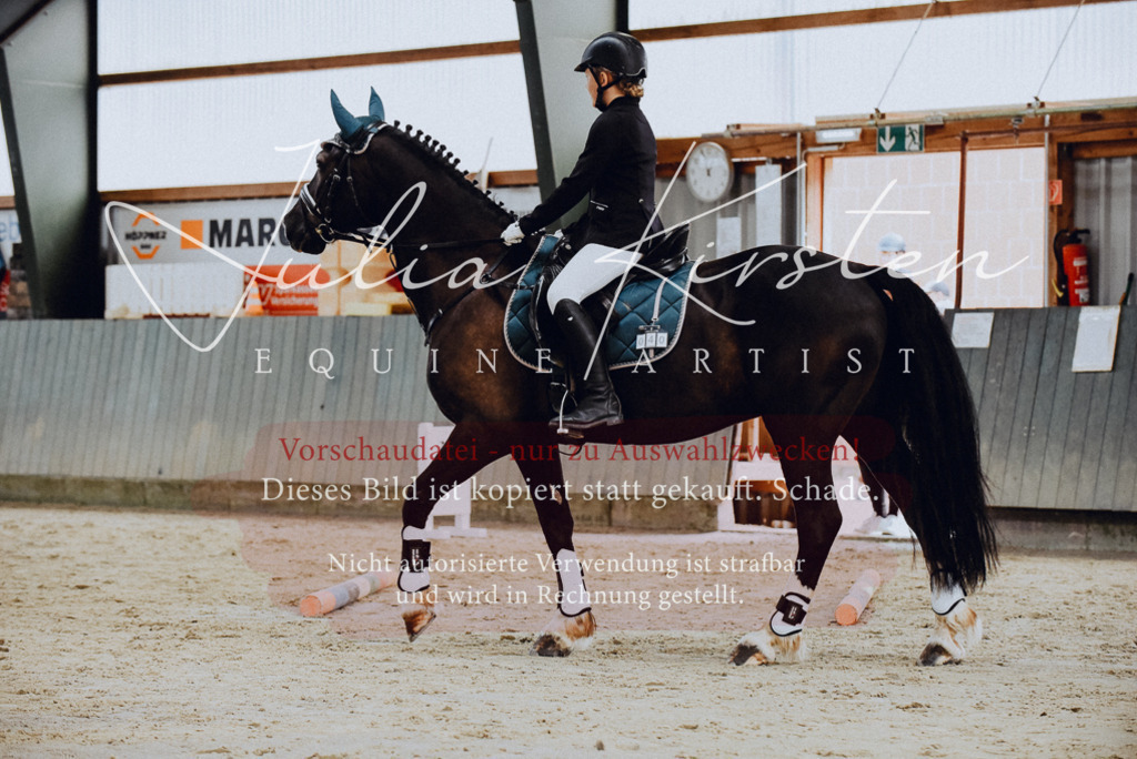 DSC_6800 | Pferde- und Turnierfotografie in Westsachsen. Pferdeportraits, Auftragszeichnungen und intuitive Kunst.