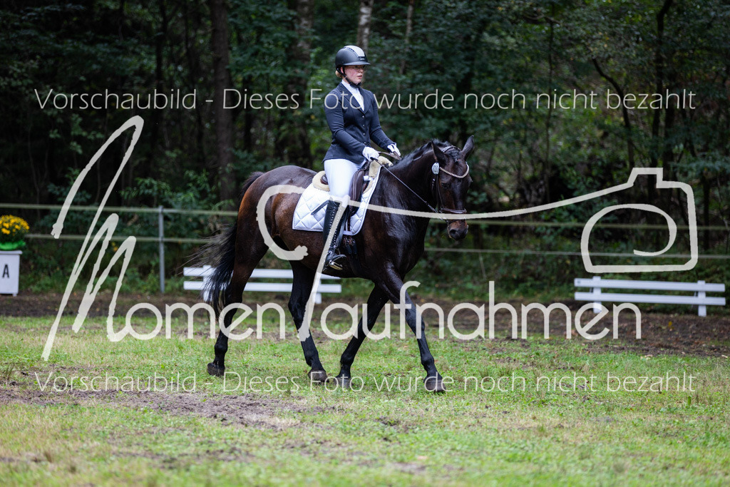 HB-A-Dressur-130 | MomenTaufnahmen Pferdesportfotos